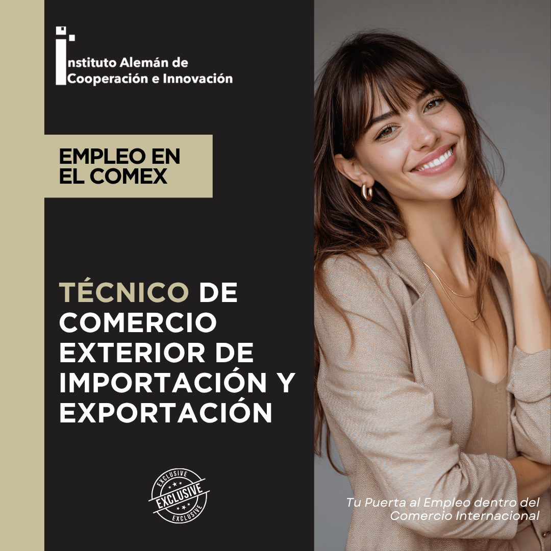 Técnico de Comercio Exterior de importación y exportación