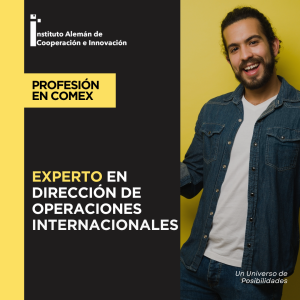 experto en Dirección de Operaciones Internacionales