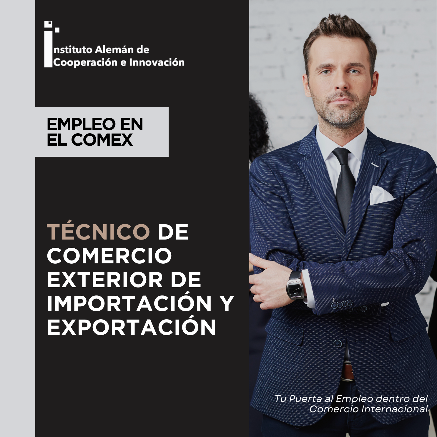 Técnico de Comercio Exterior de importación y exportación