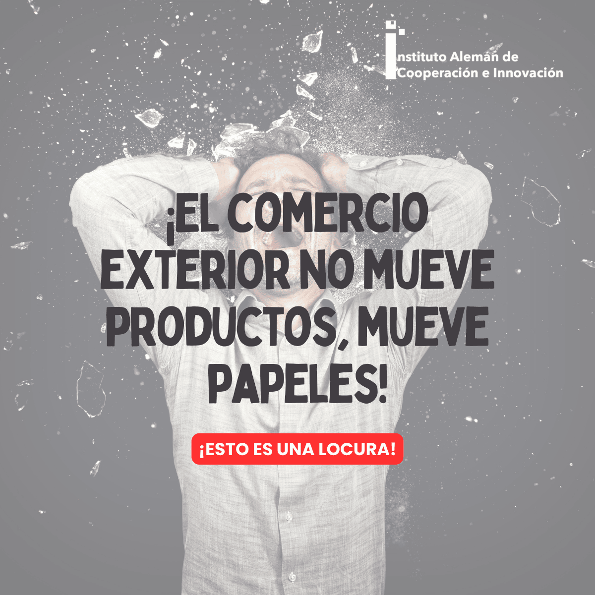 ¡El comercio exterior no mueve productos, mueve papeles!