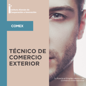 tecnico de comercio exterior